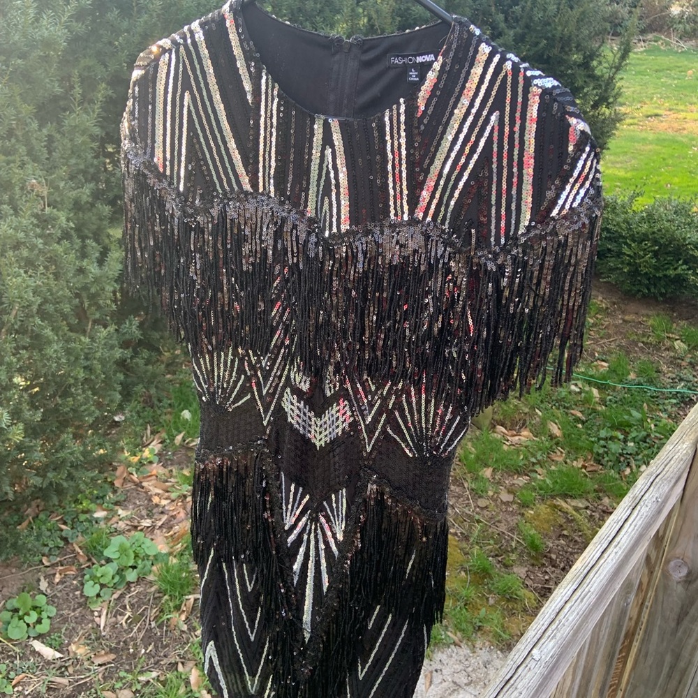 Sequin fringe dress. Perfect for roaring 20 themes! Size L.